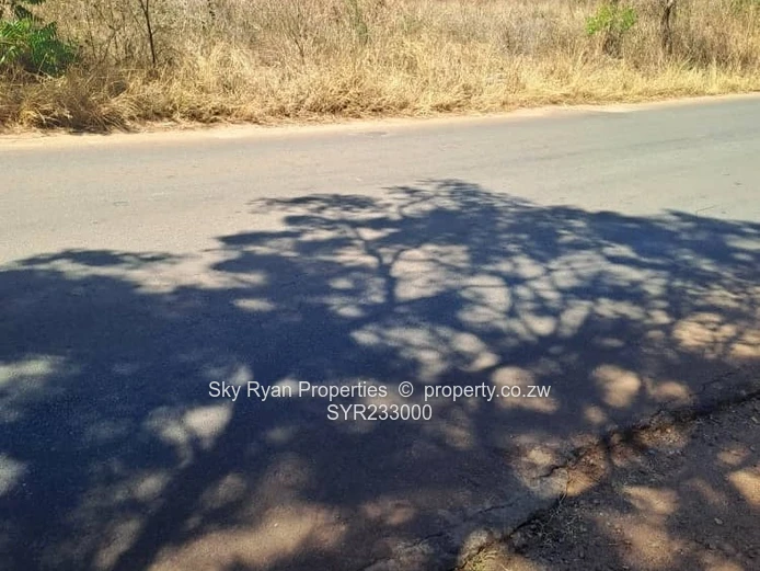 Borrowdale Stands For Sale