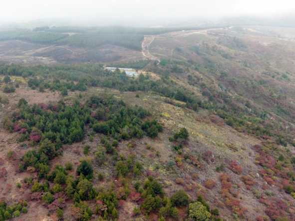 Farm & Agricultural Land