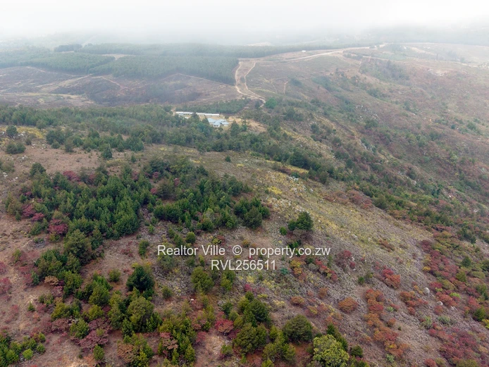 124ha Nyanga Hilltop — Subdivision Potential & Tarred Road