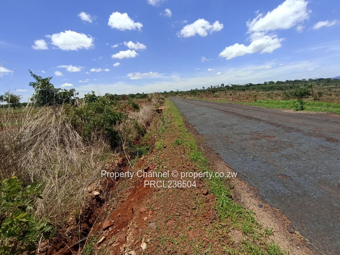 Pomona Serviced Residential Stands in Wild Geese, Buckland Gated Community