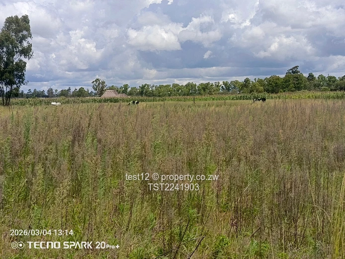 Ruwa - Goromonzi Plot for sale  (Sole Mandate)