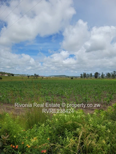 Spitzkop 10 Hectares Ideal For Residential Stands 1.5 Million