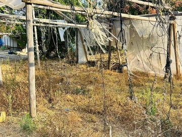 Farm & Agricultural Land