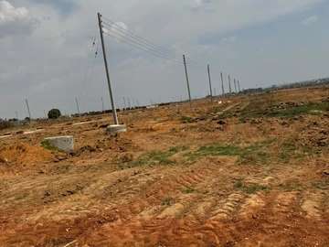 Stands & Residential Land