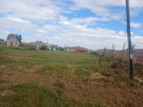 Stands & Residential Land