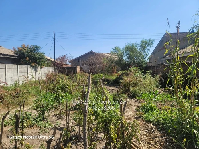 Granary Stand For Sale  (Sole Mandate)