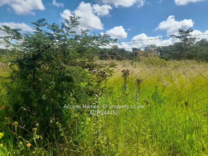 Along  Chishawasha Road