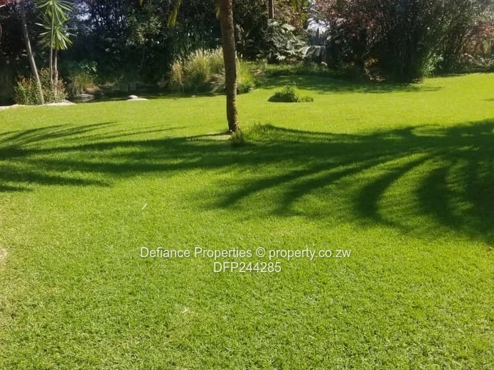 Investment opportunity 