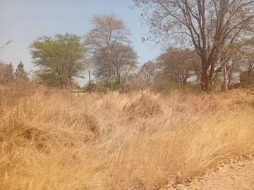 Farm & Agricultural Land