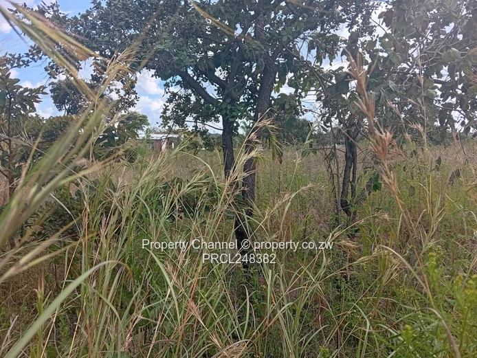 Vacant 1,000m² Stand in Crowhill Borrowdale, Harare