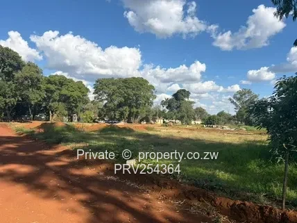 Prime Residential Stands For Sale – Tall Trees, Borrowdale