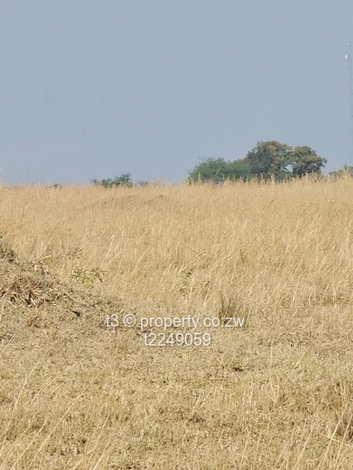 10 Hectares Prime Arable Land for Sale – Nyabira 