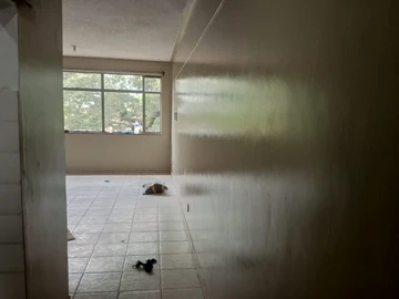 2 Bedroom Flat & Apartment