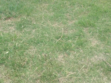 Commercial & Industrial Land