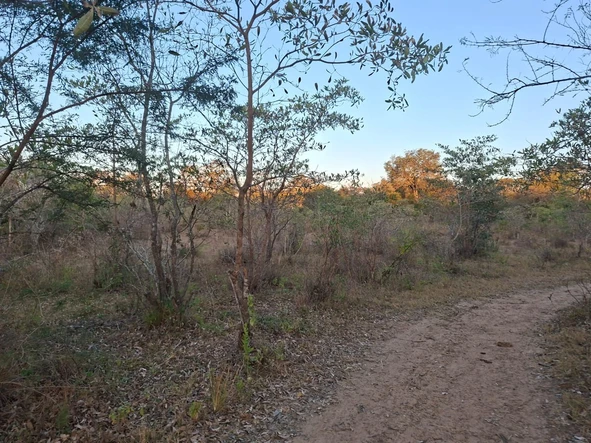 Farm & Agricultural Land