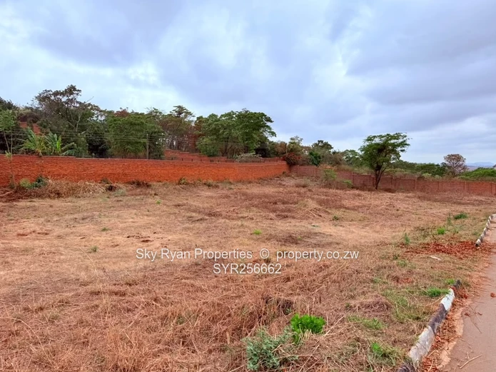 Hogerty Hill Stand For Sale 