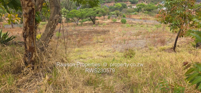 Superb opportunity in Philadelphia 