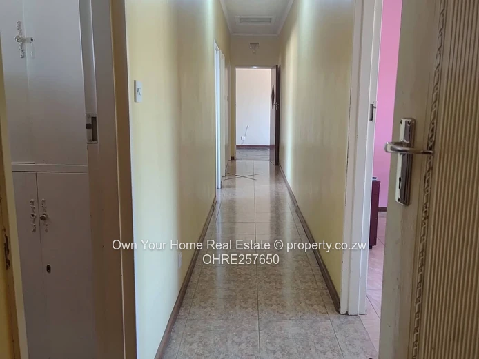 Alexandra Park house to rent 