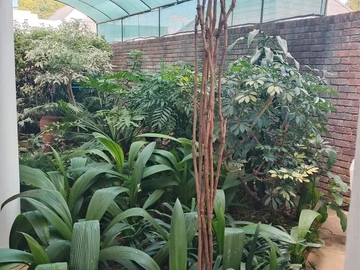 3 Bedroom Flat & Apartment