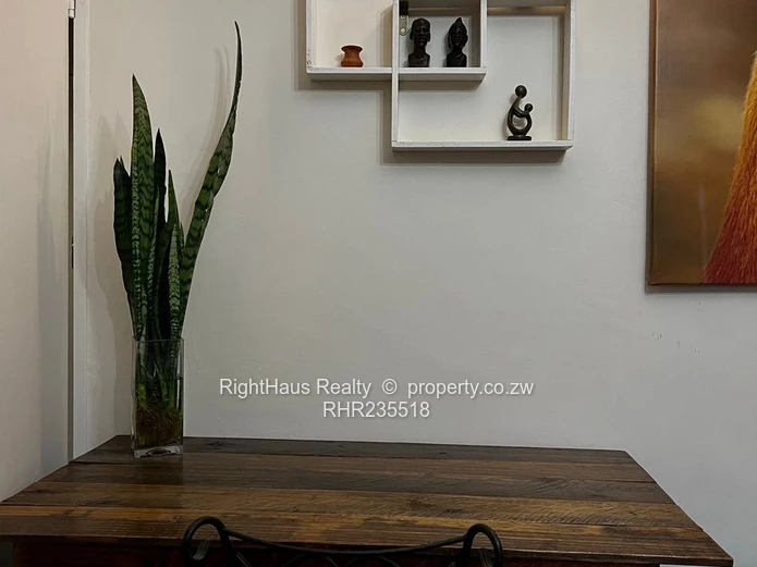 fully furnished 4 bedroom house for rent in Mt Pleasant