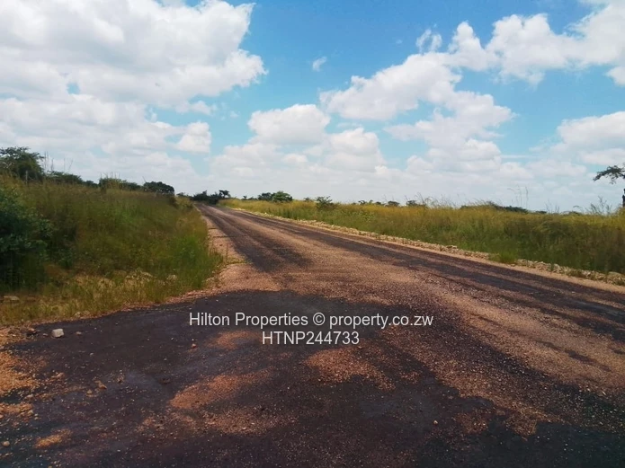 2 Stands at a bargain price