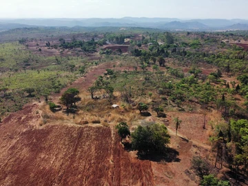 Farm & Agricultural Land