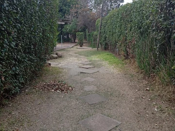Garden Flat