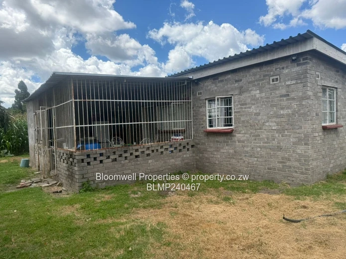 Renovators Dream With Huge Potential