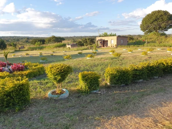 Shop & Retail Property