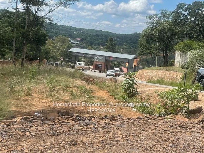 Carrick Creagh stand For Sale