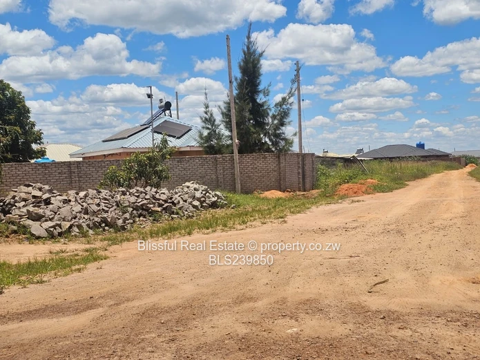 Stand for Sale in Zimre Park Extension