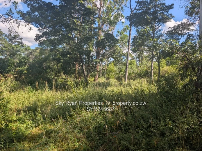 2 Stands For Sale In Colne Valley