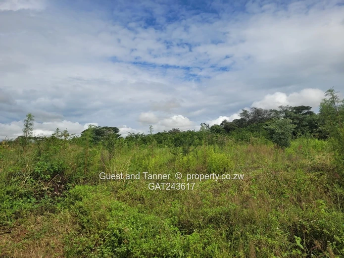 Choice of 2 Stands in Crowhill 