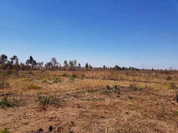 Commercial & Industrial Land