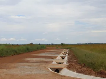 Stands & Residential Land