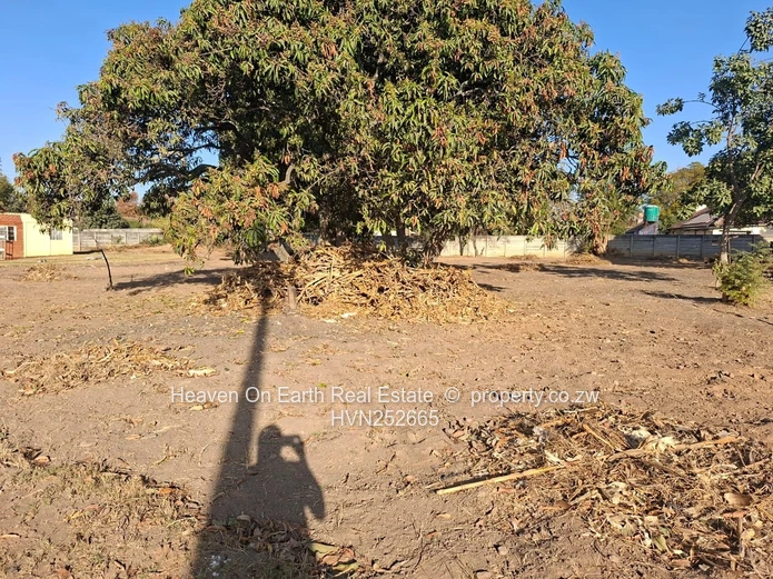 Stand for sale