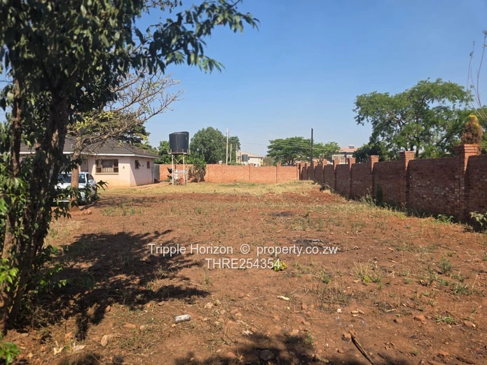 Great investment 