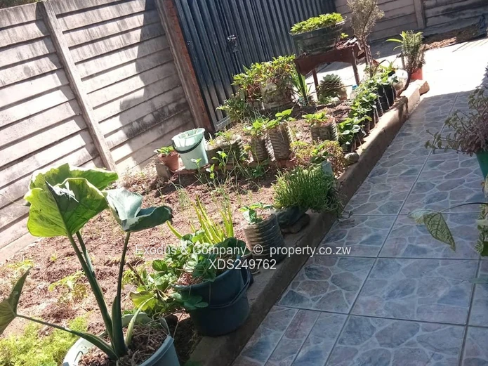 Houses for sale