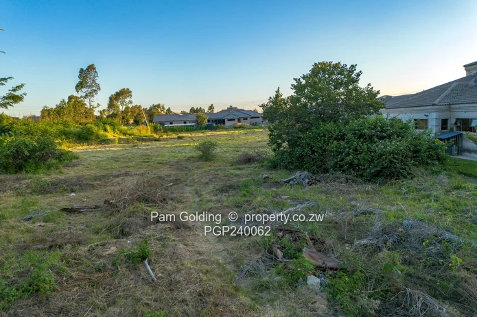 Arlington Low Density Stand For Sale