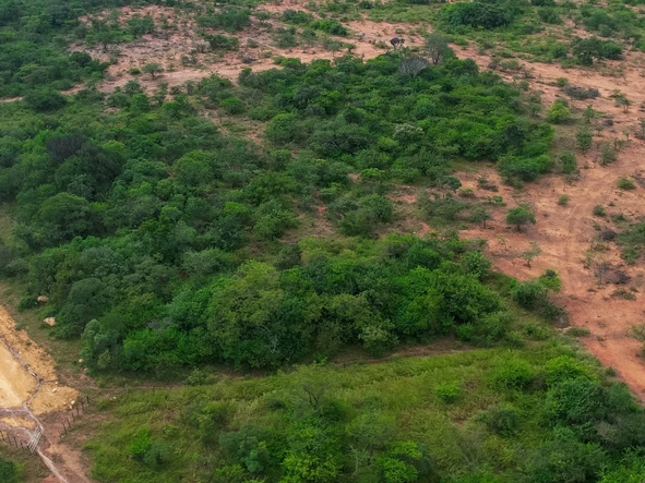 Farm & Agricultural Land