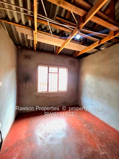 Investment Opportunity 