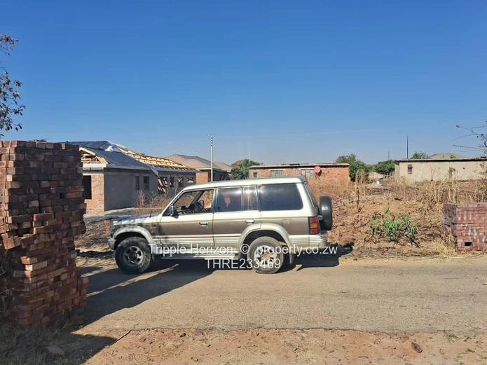 Investment Opportunity 