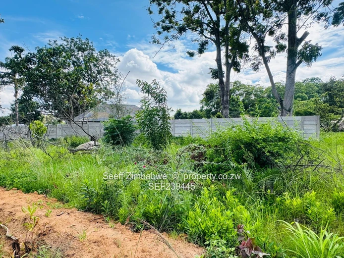 Hatfield Residential Land: Ready for Cluster Development  (Sole Mandate)