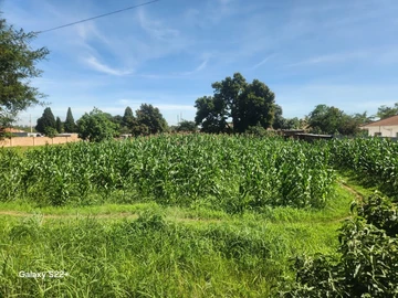 Stands & Residential Land