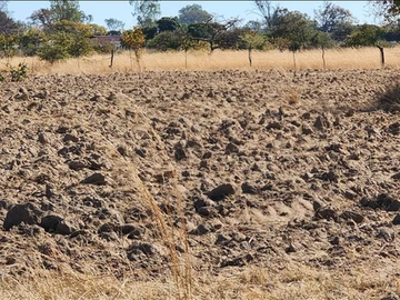 Farm & Agricultural Land