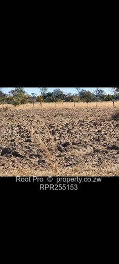 Chivhu Agro residential Plot  (Sole Mandate)