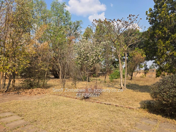 Hatfield: 4-Bed Home on 5,764 m² with Mature Trees