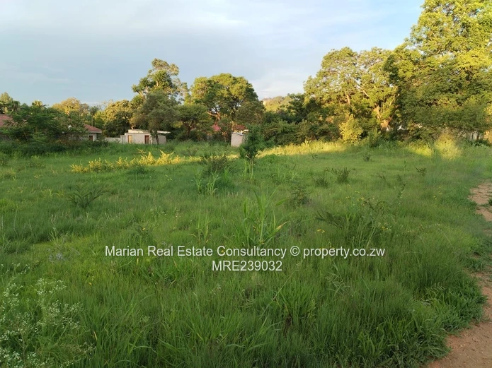 Hillside Stand, FOR SALE