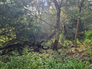 Farm & Agricultural Land