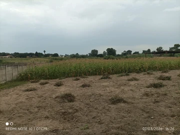 Commercial & Industrial Land